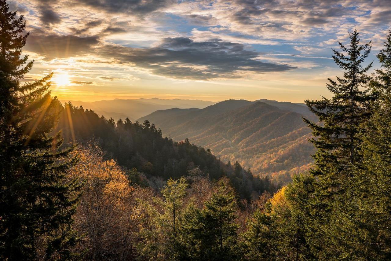 Lazy Bear Whispering Pines 111 Apartment Pigeon Forge Luaran gambar