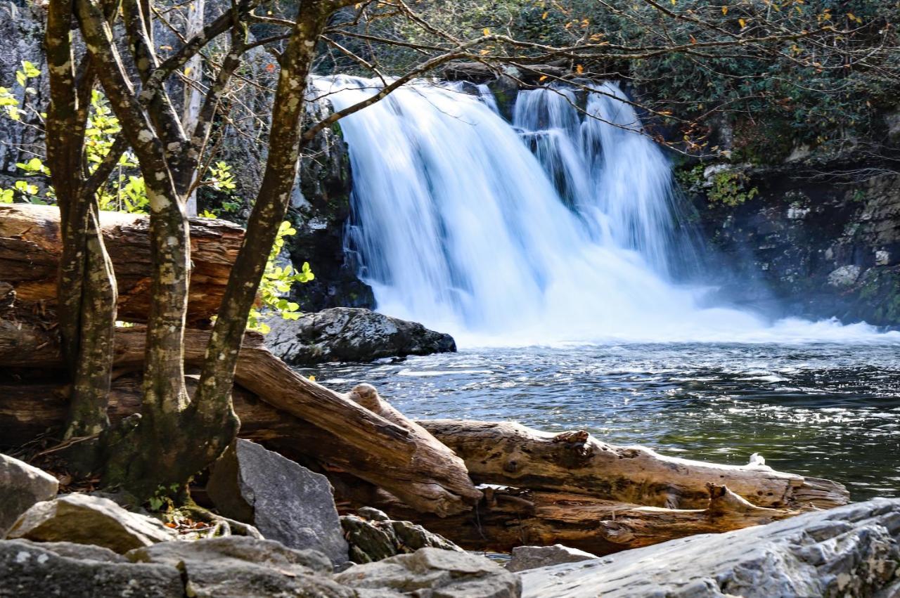 Lazy Bear Whispering Pines 111 Apartment Pigeon Forge Luaran gambar