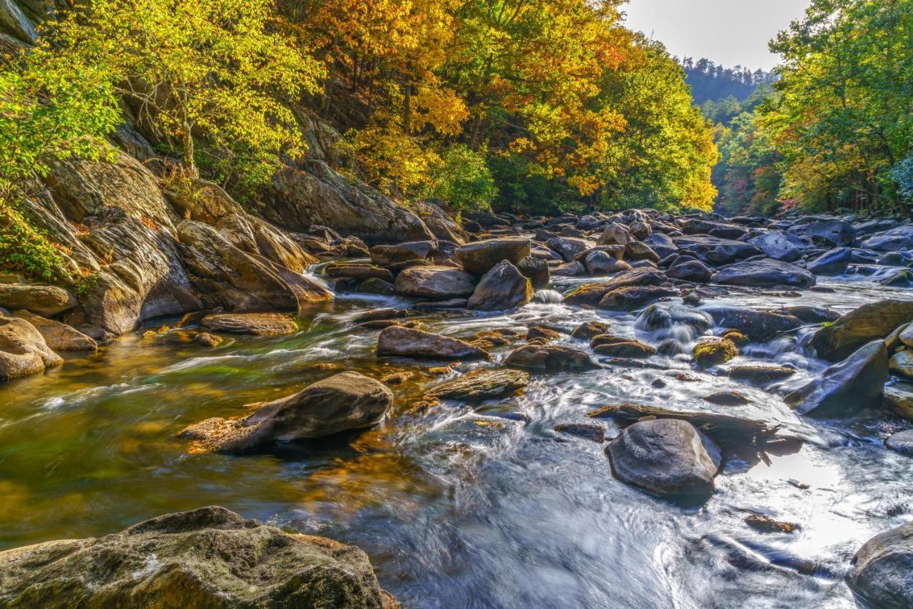 Lazy Bear Whispering Pines 111 Apartment Pigeon Forge Luaran gambar